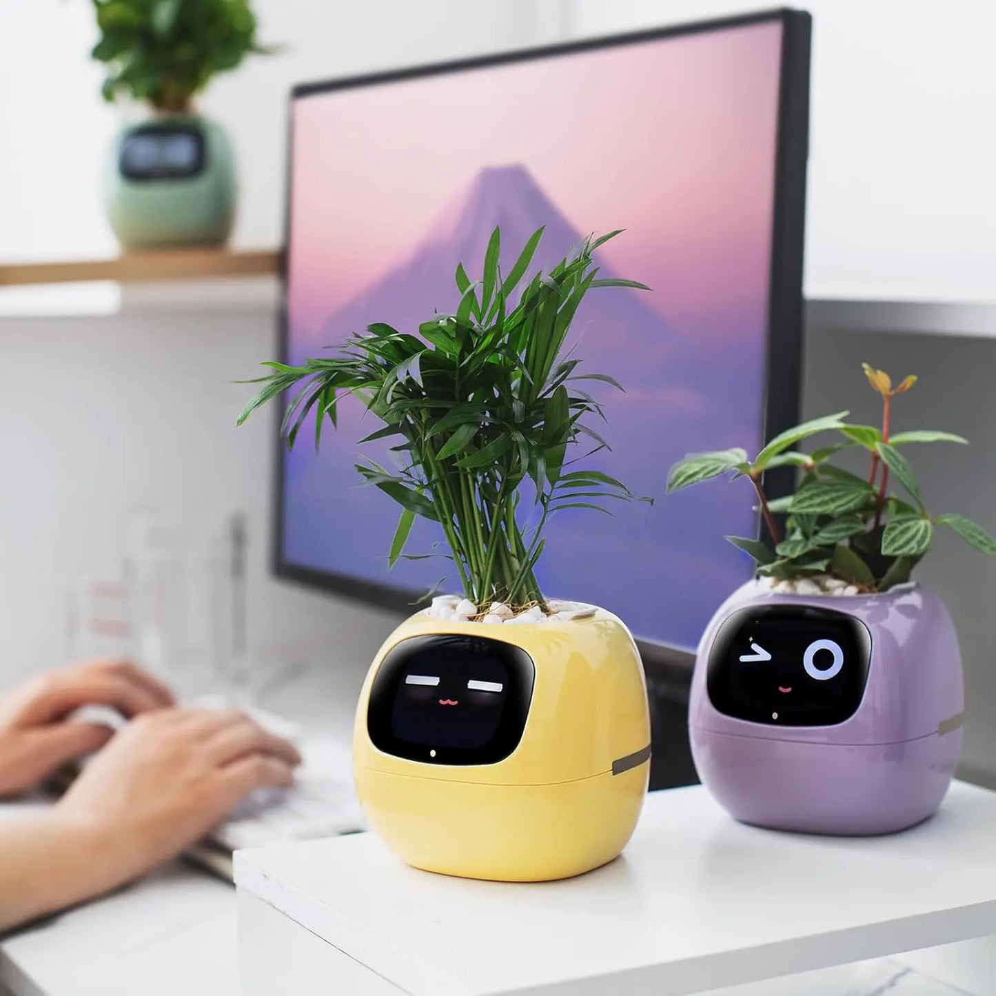 SmartPlanter Pink