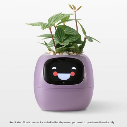 Plant Pal Purple